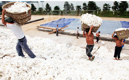 纺织业抛储平稳保证棉花供给充足 产销两旺